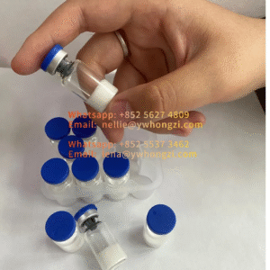 Semaglutide mechanism of action