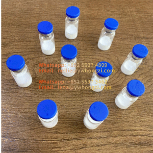 Tirzepatide SURMOUNT-1